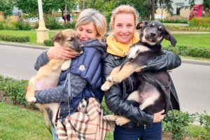 Юные подопечные приюта «Зеленоград» нашли хозяев на ВДНХ