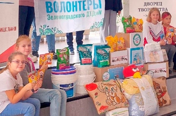 Волонтеры Дворца творчества детей и молодежи помогли животным зеленоградского приюта