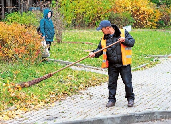 Зеленоград готовится встречать зиму