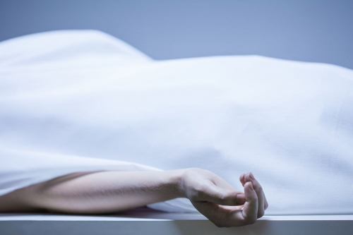 В Великобритании коронер обвинил соцсети в самоубийстве 14-летней девочки 