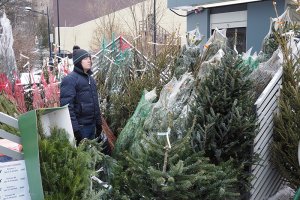 В Зеленограде откроются шесть городских елочных базаров