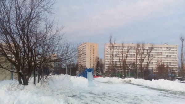 В Зеленограде начали ставить ледяные горки