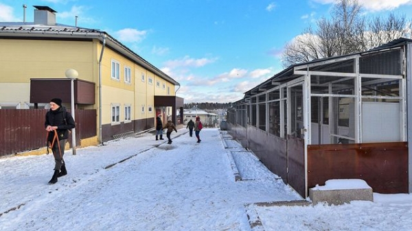 На Восточной коммунальной зоне снесли склады и освободили место для животных