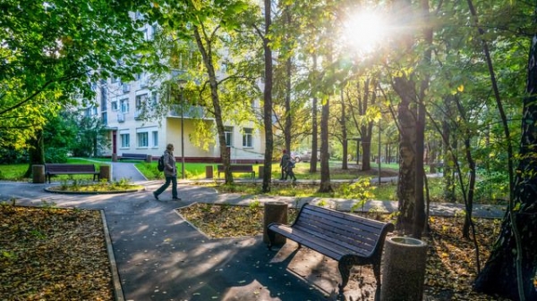Префект рассказал о благоустройстве Зеленограда в 2023 году