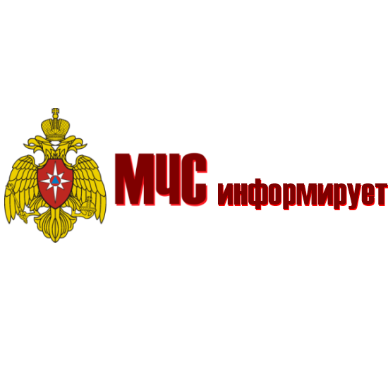 Зеленоградское МЧС - об итогах 2022 года