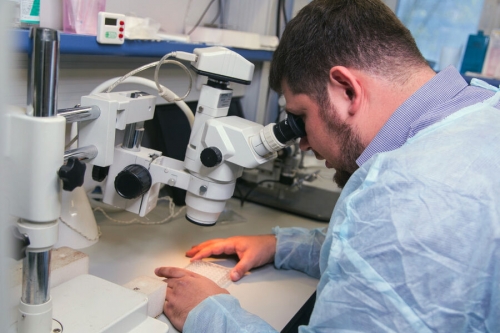 Уничтожение опухолей, доставка лекарств и МРТ. Как применяют наночастицы в медицине 