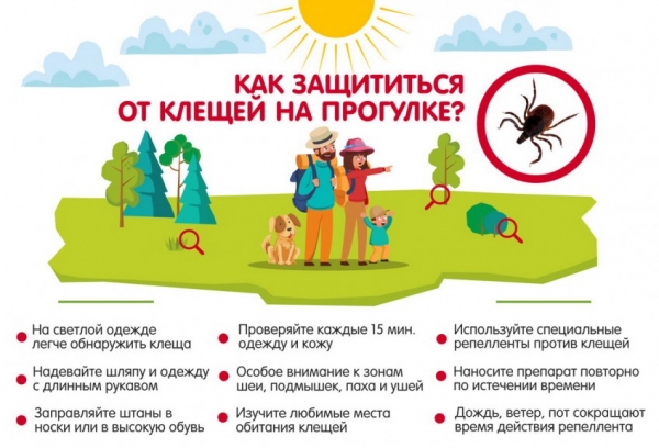 Осторожно, клещи! - ГКБ Кончаловского