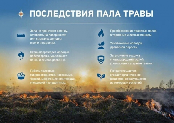 Зеленоградский МЧС предупреждает: будьте осторожны с огнем