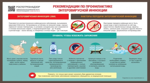 Роспотребнадзор напоминает о мерах профилактики  энтеровирусной инфекции