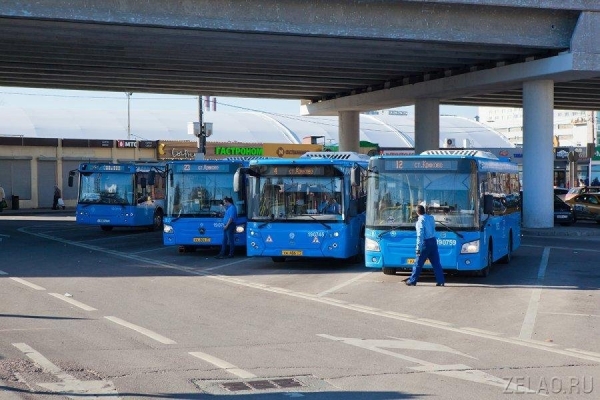 Для удобства пассажиров планируются изменения в маршрутной сети автобусов Зеленограда из-за запуска МЦД-3