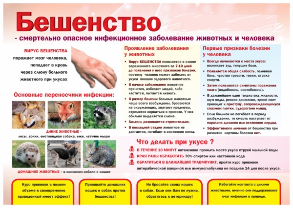 О мерах профилактики бешенства!
