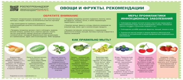 Рекомендации по выбору фруктов и овощей в летний период
