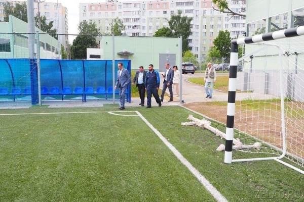 Футбольное поле с подогревом в Зеленограде появились на кадастровой карте столицы