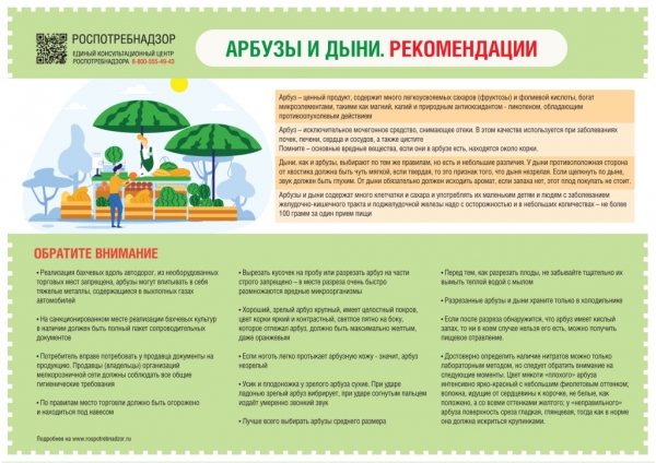 Роспотребнадзор: О рекомендациях по выбору бахчевых культур