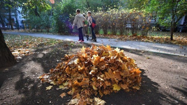 В Зеленограде пройдет традиционный месячник осеннего благоустройства