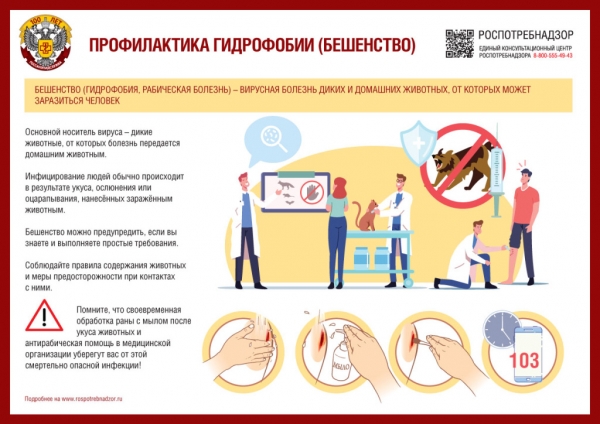 Роспотребнадзор: О Всемирном дне борьбы с бешенством – 28 сентября. Профилактика бешенства