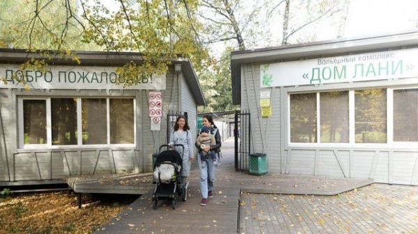 У обитателей «Дома лани» начался брачный период, но комплекс открыт для посетителей