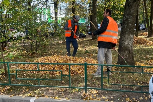 В районе Старое Крюково проводятся работы осеннего месячника благоустройства