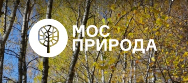 До зимы не кормить: специалисты Мосприроды просят не подкармливать животных