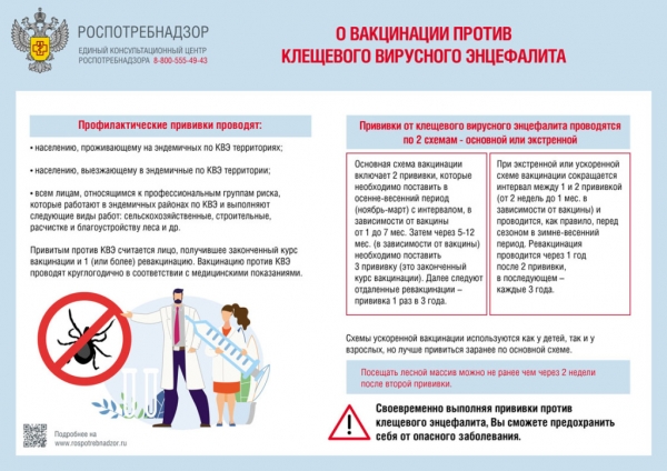 Октябрь - время вакцинации против клещевого вирусного энцефалита