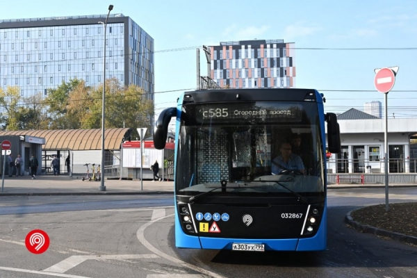 Около 40 маршрутов городского транспорта улучшены к запуску D3