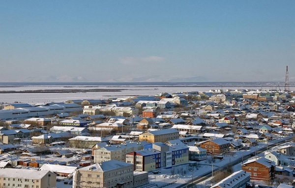 На Ямале откосы дорог планируют укрепить местными растениями

