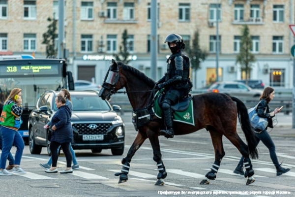 Ко Дню полиции подготовлена фотовыставка о буднях зеленоградских полицейских