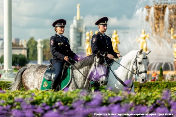 Ко Дню полиции подготовлена фотовыставка о буднях зеленоградских полицейских