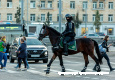 Ко Дню полиции подготовлена фотовыставка о буднях зеленоградских полицейских