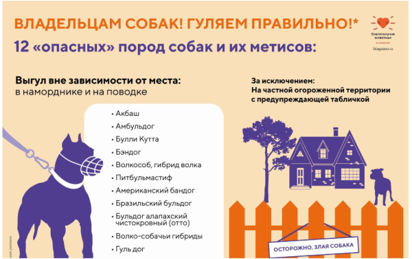Ассоциация «Благополучие животных» ведет системную работу по решению проблемы безнадзорности животных 