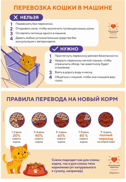 Ассоциация «Благополучие животных» ведет системную работу по решению проблемы безнадзорности животных 