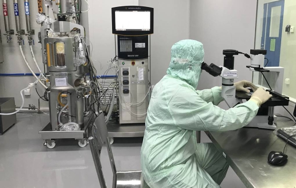 Ученые создали псевдовирус для 3D-картирования процесса заражения клеток

