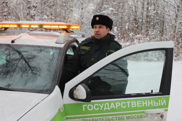 В Москве и Зеленограде проходит акция по охране новогодних деревьев «Ель»