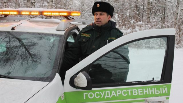 На природных территориях Москвы стартуют рейды по пресечению незаконной вырубки хвойников