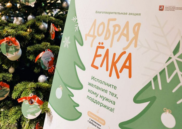 Инна Святенко: Акция «Добрая елка» позволяет людям проявить взаимную поддержку