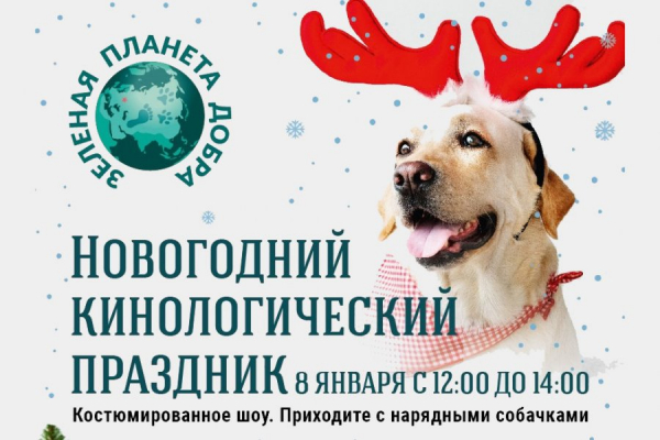 Новогодний кинологический праздник перенесен