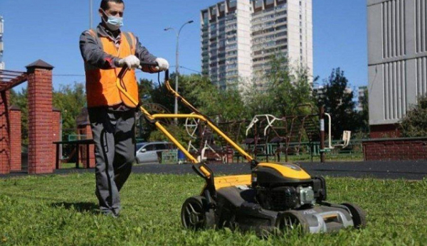 В Зеленограде активизированы работы по покосу газонов