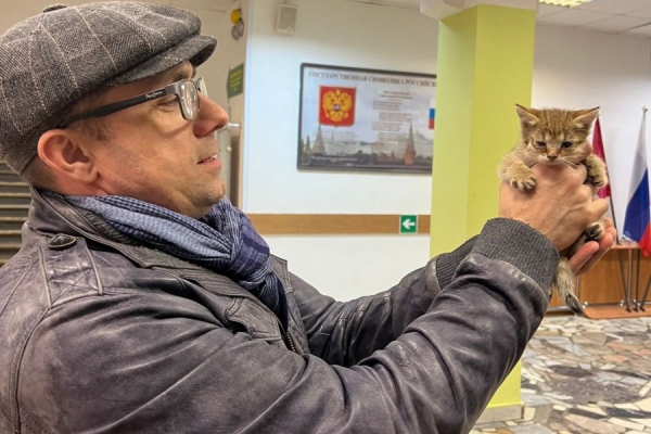 В школе №854 спасли котенка, попавшего в водосточную трубу