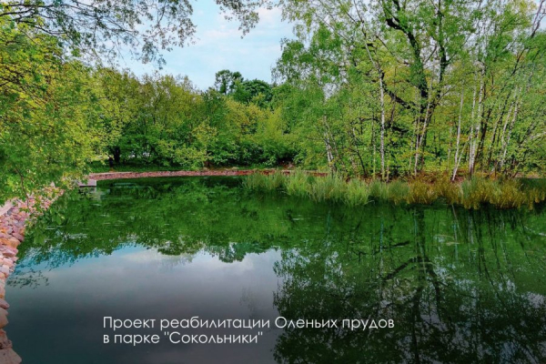 Собянин: Каскад из пяти прудов в «Сокольниках» до конца года приведут в порядок