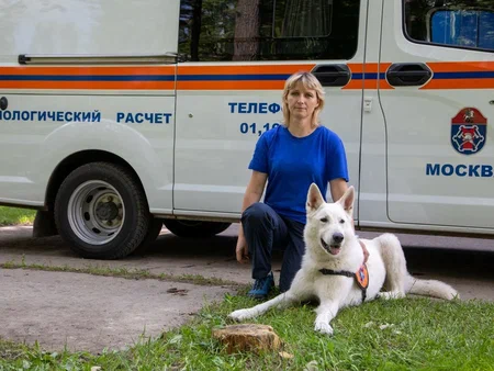 Люди и лес. Как в нем не потеряться и как найтись, рассказали кинологи Пожарно-спасательного центра столицы
