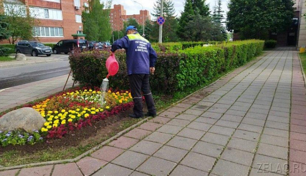 В Зеленограде будет высажено более 642 тысяч летних цветов