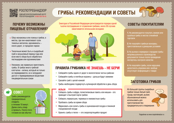 Роспотребнадзор напоминает: грибы необходимо подвергнуть кулинарной обработке в день сбора