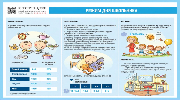 Роспотребнадзор: о рекомендациях родителям  при подготовке к новому учебному году