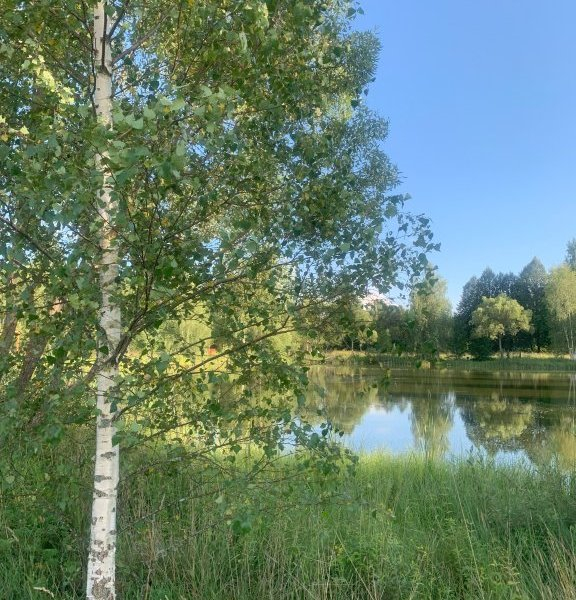Заповедник слова и дела