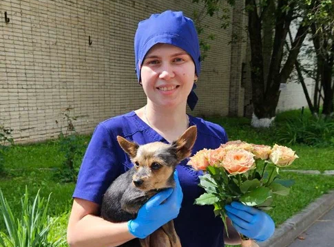 Зеленоградский ветврач спасла собаку с осложнениями после укуса змеи