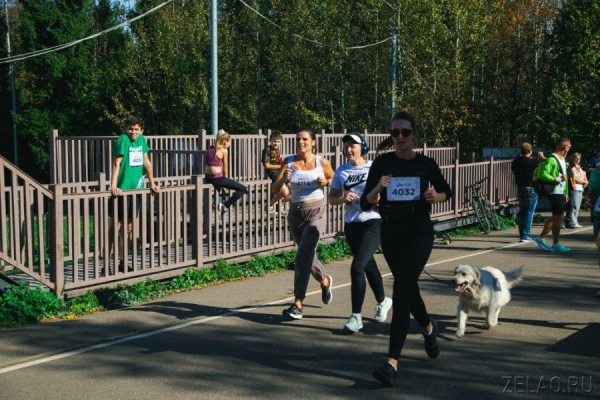 В Зеленограде прошел «Кросс нации»