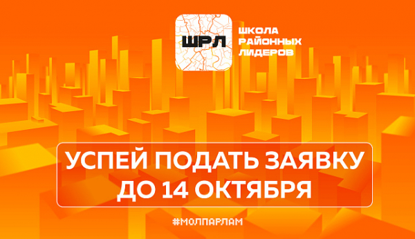 Школа районных лидеров