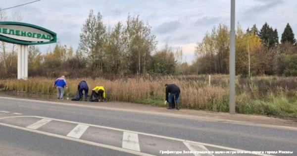 Более 1100 человек приняли участие в осеннем субботнике