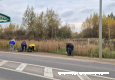 Более 1100 человек приняли участие в осеннем субботнике