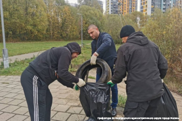 Более 1100 человек приняли участие в осеннем субботнике